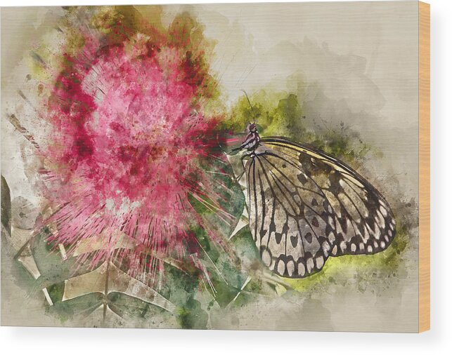 Butterfly Wood Print featuring the photograph Butterfly on Calliandra by Gordon Ripley