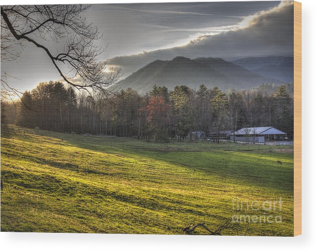 Cades Wood Print featuring the photograph Cades Cove, Spring 2016,II by Douglas Stucky