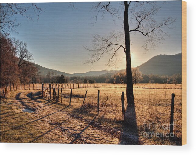 Cades Wood Print featuring the photograph Cades Cove, Spring 2017,I by Douglas Stucky
