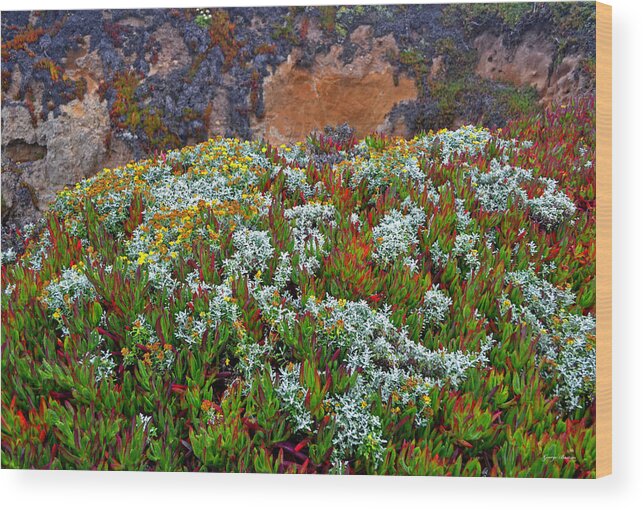 West Coast Wood Print featuring the photograph California Coast Wildflowers by George Bostian