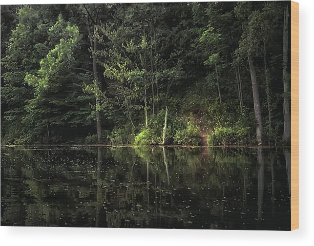 Lakes Wood Print featuring the photograph Calm Waters by Elaine Malott