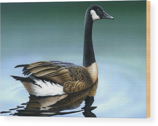 Goose Wood Print featuring the painting Canada Goose II by Anthony J Padgett