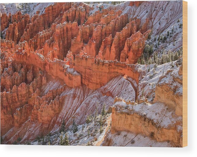 Canyon Wood Print featuring the photograph Canyon Trail by John Roach