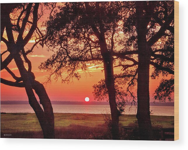 Cape Fear Fort Fisher Sunset Print Wood Print featuring the photograph Cape Fear Tranquility by Phil Mancuso