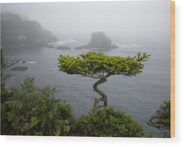 Beach Wood Print featuring the photograph Cape Flattery Noble by Wanda Jesfield