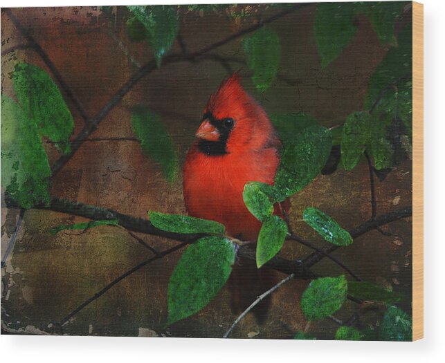 Animal Wood Print featuring the digital art Cardinal by Perry Van Munster
