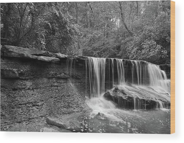 Sharon Woodes Wood Print featuring the photograph Cascade by Russell Todd