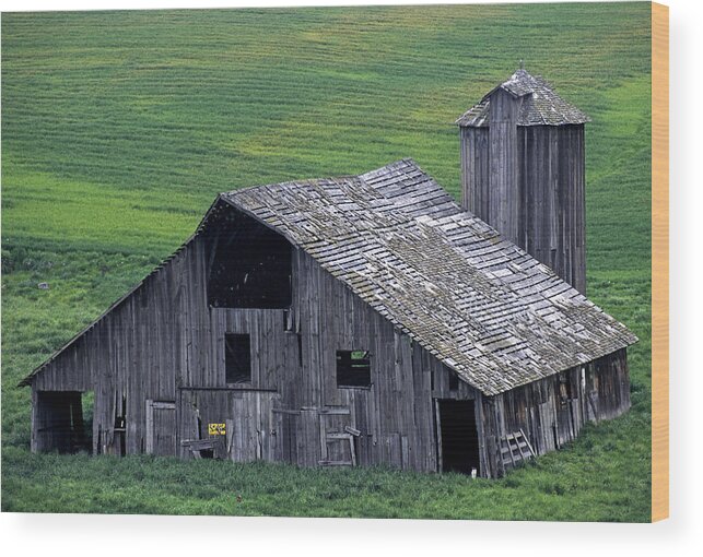 Outdoors Wood Print featuring the photograph Cat Barn by Doug Davidson