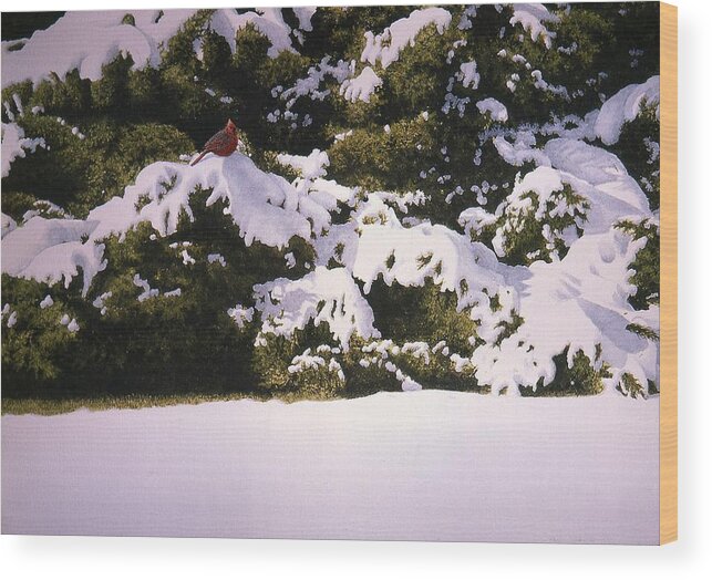 Nature Wood Print featuring the painting Cedar and Snow by Conrad Mieschke