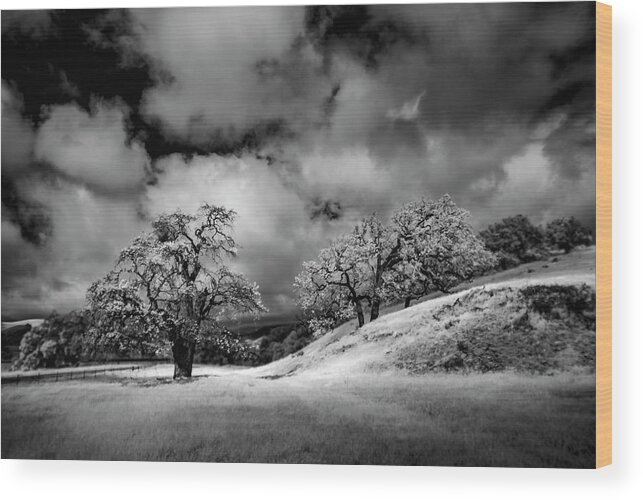 Central Coast. California Wood Print featuring the photograph Central California Ranch by Sean Foster