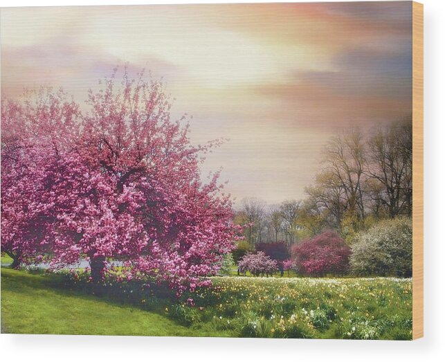 Cherry Tree Wood Print featuring the photograph Cherry Orchard Hill by Jessica Jenney