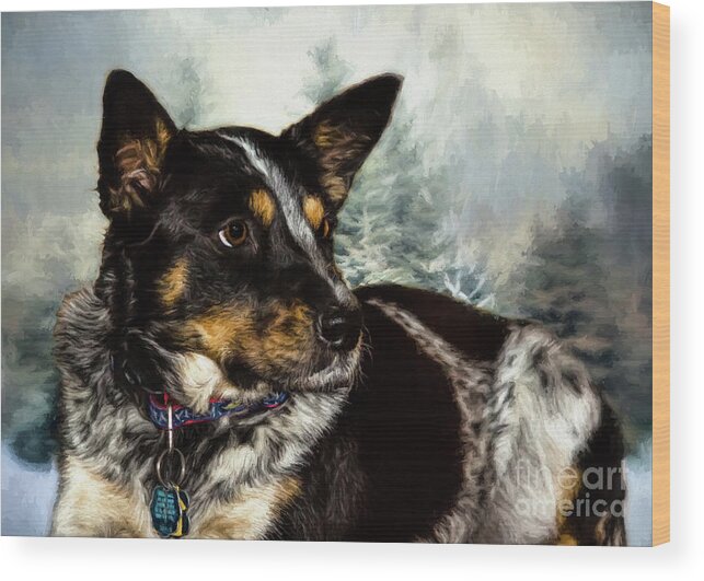 Dog Wood Print featuring the photograph Christmas Dog by Janice Pariza