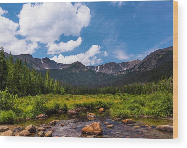 Colorado Wood Print featuring the photograph Cirque Meadow #1 by John Roach
