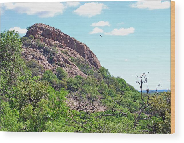Rock Wood Print featuring the photograph Climbing Rock by Teresa Blanton