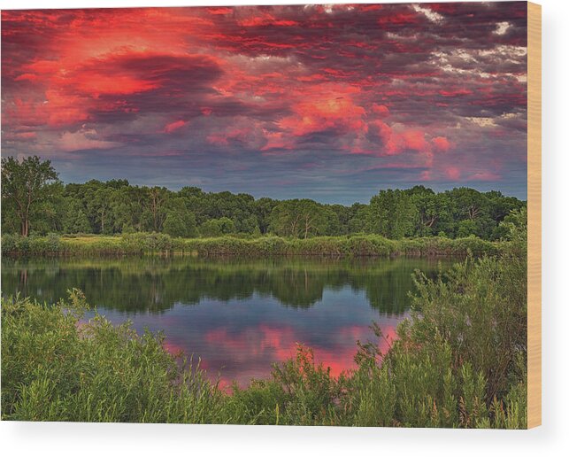 Colorado Wood Print featuring the photograph Colorado Ponds Sunset by Darren White
