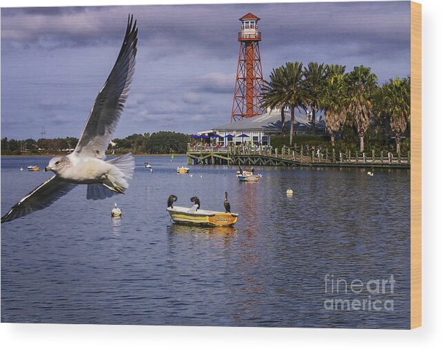 Ahingas Sitting On A Boat Wood Print featuring the photograph Coming In For A Landing #2 by Mary Lou Chmura