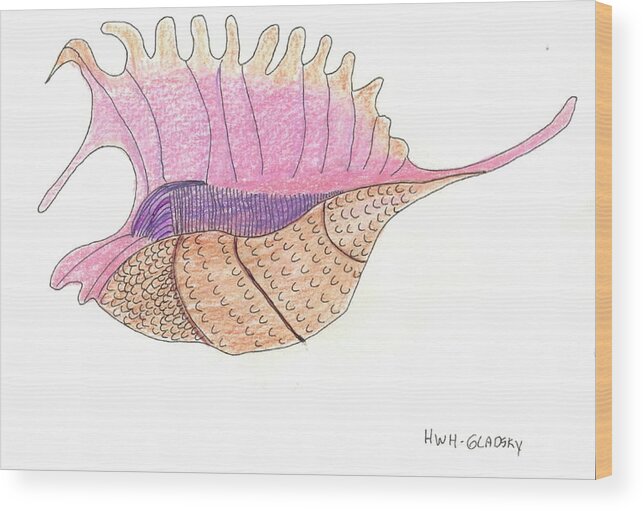 Sea Creatures Wood Print featuring the painting Conch Shell by Helen Holden-Gladsky