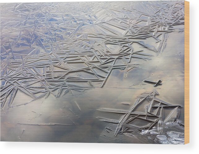 Ice Wood Print featuring the photograph Coolness by Mary Amerman