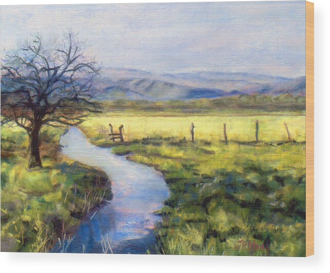 New Mexico Countryside Wood Print featuring the pastel Countryside by Julie Maas
