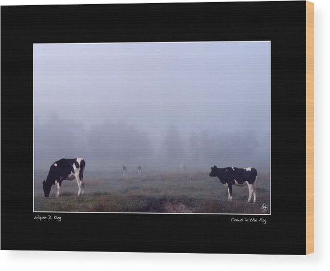  Wood Print featuring the photograph Cows in the Fog Poster by Wayne King