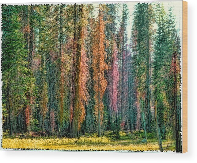 Landscape Wood Print featuring the photograph Crayon Forest by Michael Cleere