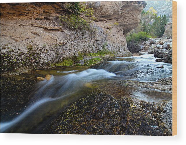 Crazy Woman Creek Wood Print featuring the photograph Crazy Woman Creek by Larry Ricker