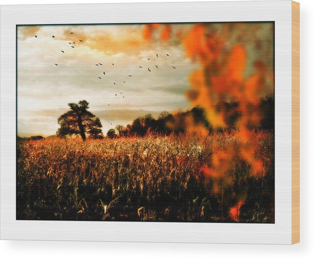 Crows Wood Print featuring the photograph Crows and Corn by Mal Bray