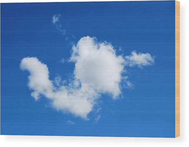 Cumulus Cloud Wood Print featuring the photograph Cumulus by Marilynne Bull