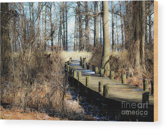 Reelfoot Lake Wood Print featuring the photograph Cyprus Pier Reelfoot Lake by Veronica Batterson