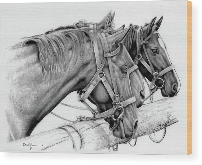 Horse Wood Print featuring the drawing Three Horses Daniel Adams by Daniel Adams