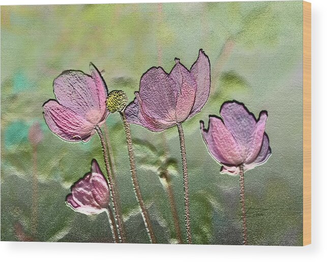 Windflower Wood Print featuring the photograph Daughter of the Wind by Barbara White
