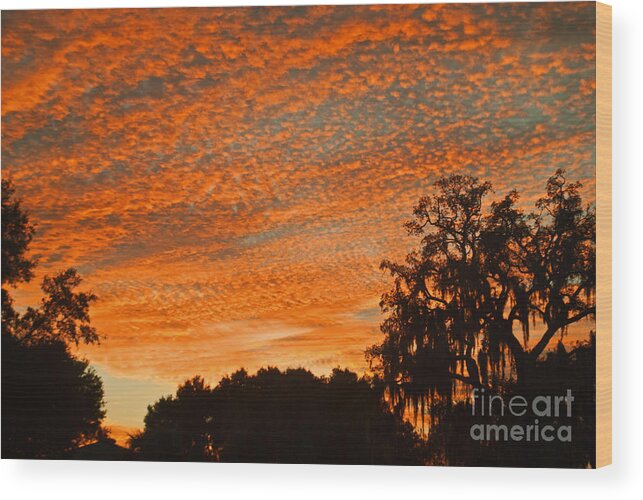 Florida Wood Print featuring the photograph Davenport at Dusk by George D Gordon III