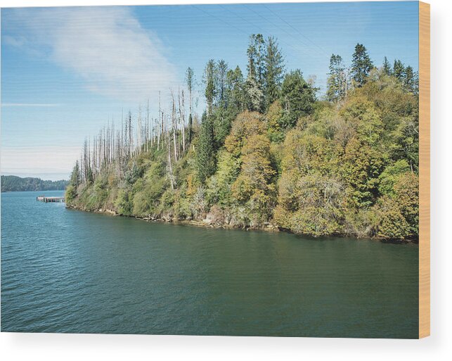 Dead Trees Across The Umpqua River Wood Print featuring the photograph Dead Trees across the Umpqua River by Tom Cochran