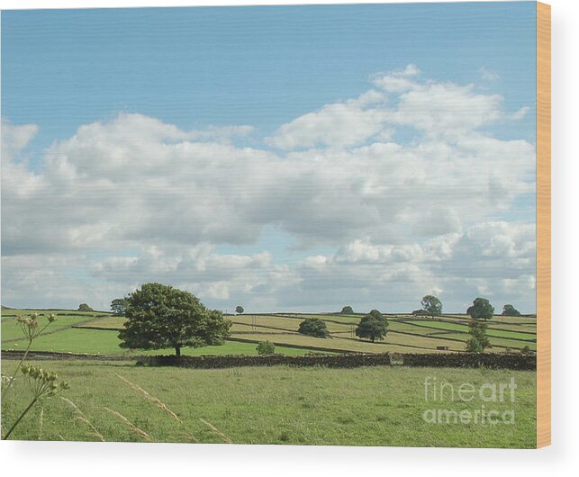 Derbyshire Wood Print featuring the photograph Derbyshire Landscape by Mini Arora