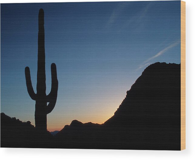 Cactus Wood Print featuring the photograph Desert cactus Sunrise by Ted Keller