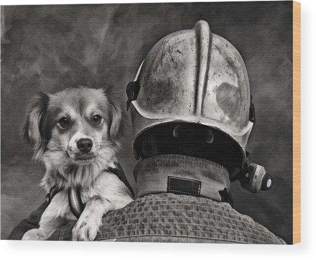 Dog Wood Print featuring the photograph Dog's Best Friend. by Renato J. Lopez Baldo