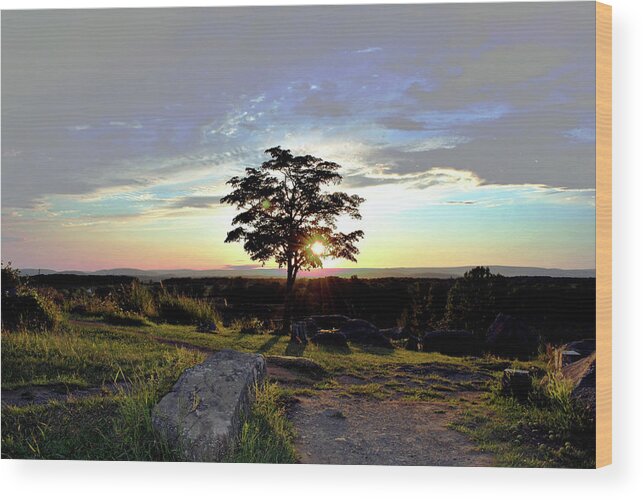 Gettysburg Wood Print featuring the photograph Dogwood on Little Round Top by Jen Goellnitz