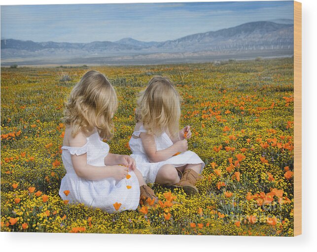 Poppy Wood Print featuring the photograph Double Take in a Poppy Field by Norma Warden