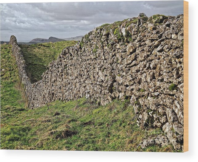 Yorkshire Dales Wood Print featuring the photograph Dry Stone Wall in the Yorkshire Dales by Martyn Arnold