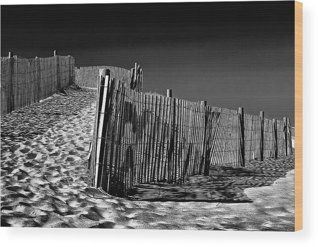 Beach Wood Print featuring the photograph Dune fence, black and white by Bill Jonscher