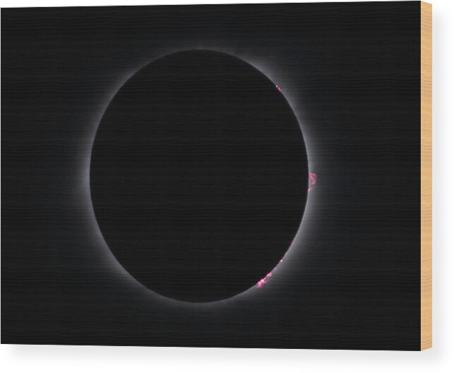 Total Solar Eclipse Wood Print featuring the photograph Totality by Daniel Reed