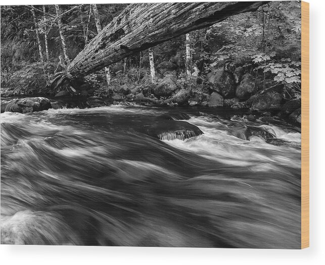 Landscapes Wood Print featuring the photograph Eagle Creek by Steven Clark