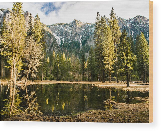 Landscape Wood Print featuring the photograph Early Spring Reflections by Susan Eileen Evans