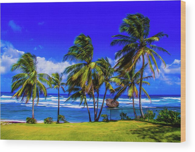 Barbados Wood Print featuring the photograph East Coast by Stuart Manning