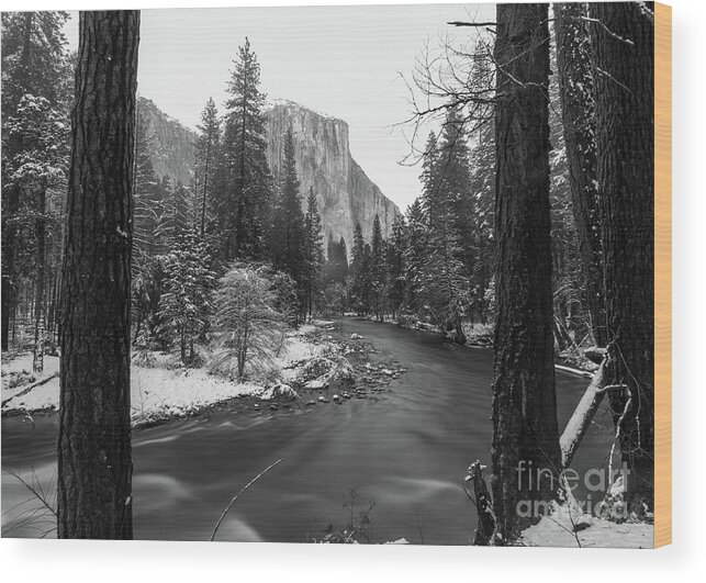 El Capitan Wood Print featuring the photograph El Cap by Brandon Bonafede