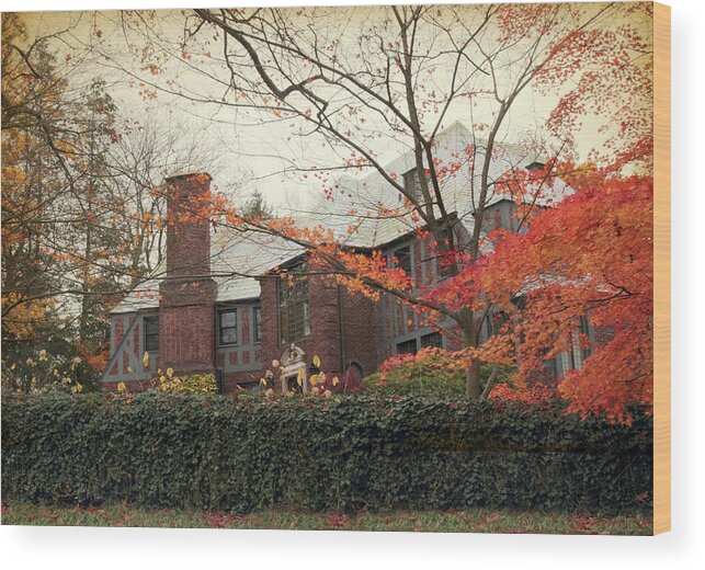 House Wood Print featuring the photograph Elegance in Autumn by Jessica Jenney