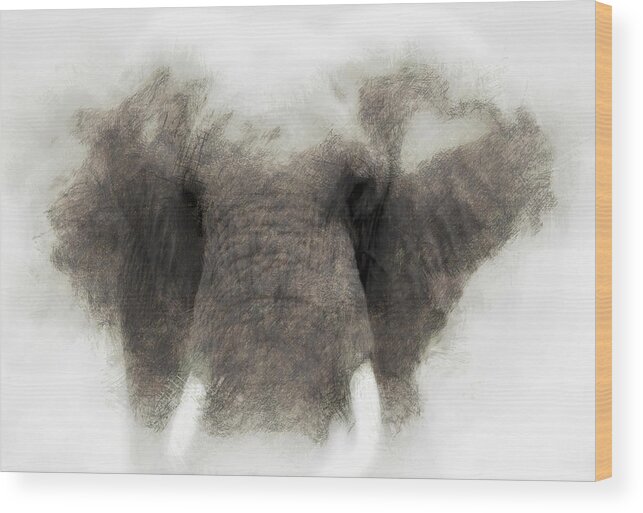 Elephant Wood Print featuring the photograph Elephant portrait by John Stuart Webbstock