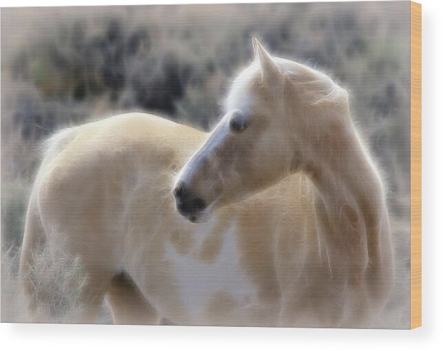 Horses Wood Print featuring the photograph Equine Golden Glow by Athena Mckinzie