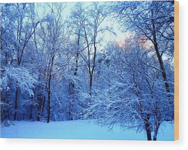 Winter Wood Print featuring the photograph Ethereal Snow by Deborah Kunesh
