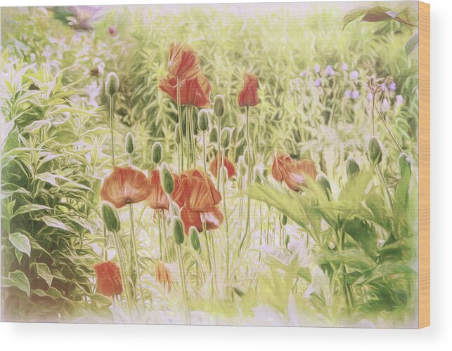 Poppy Flowers Wood Print featuring the photograph Fairy Garden 2 by Marilyn Wilson